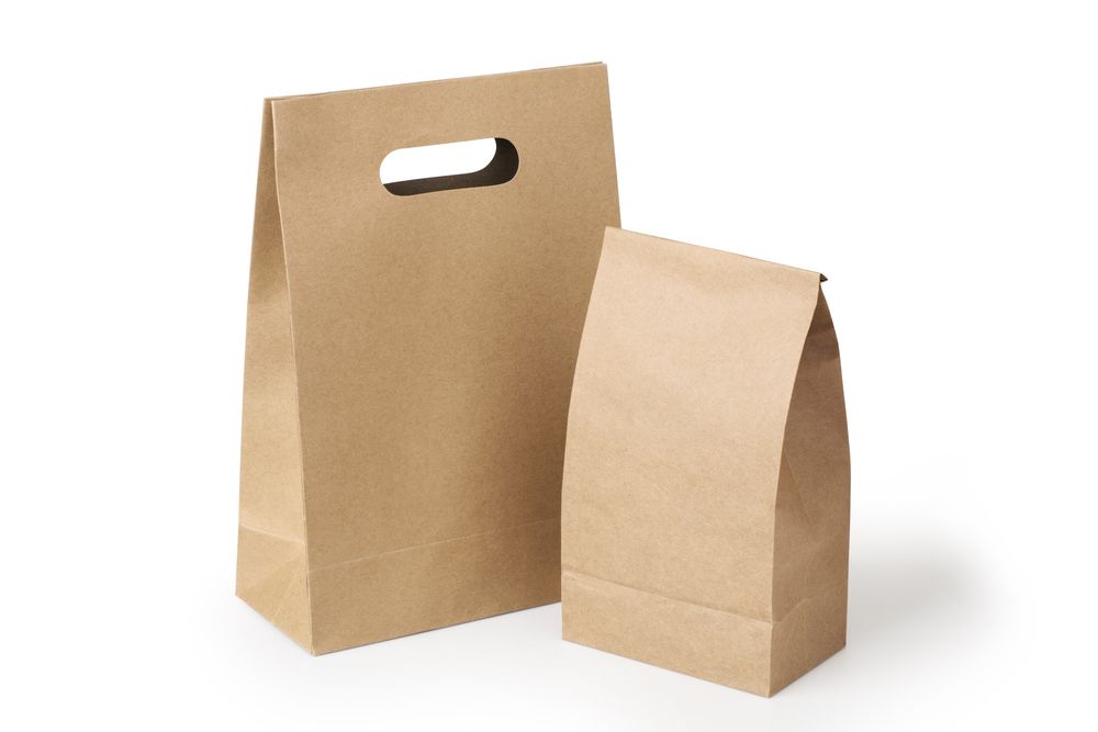 The Lucrative World of Paper Bag Making Business