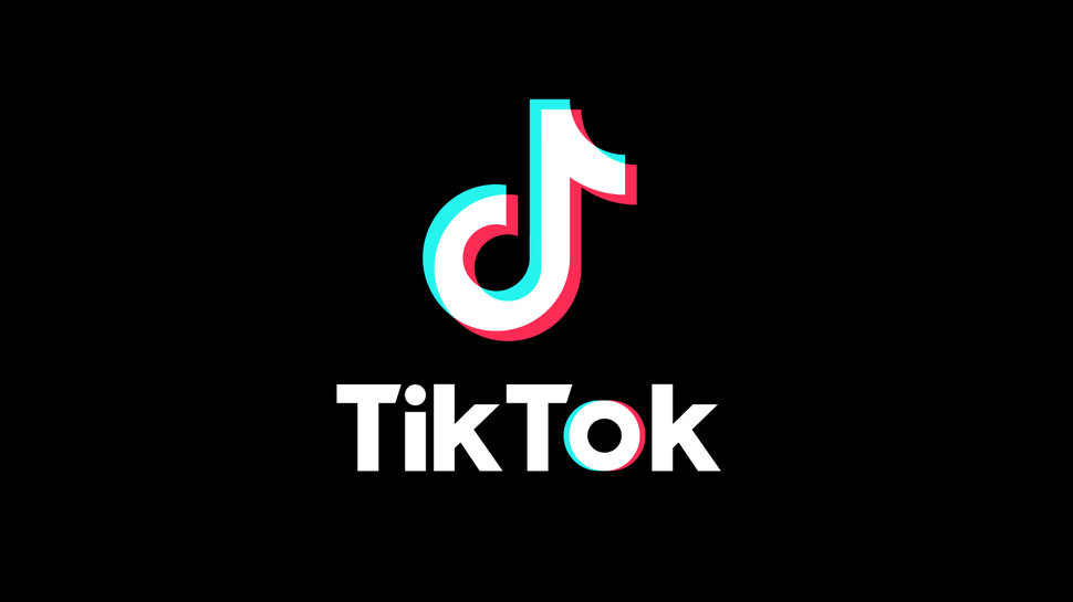 TikTok: A Guide to Brand Promotion