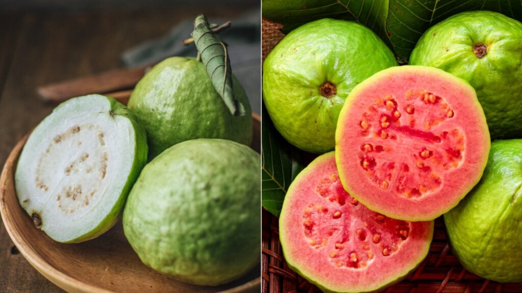 Guava fruit